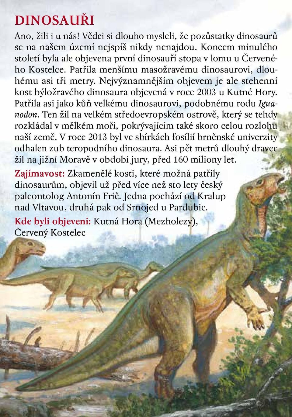 Nejvýznamnějším objevem je ale stehenní kost býložravého dinosaura objevená v roce 2003 u Kutné Hory. Patřila asi jako kůň velkému dinosaurovi, podobnému rodu Iguanodon.