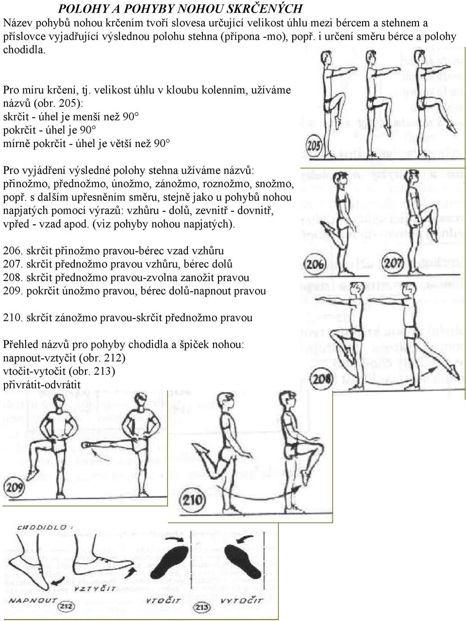 205): skrčit - úhel je menší než 90 pokrčit - úhel je 90 mírně pokrčit - úhel je větší než 90 Pro vyjádření výsledné polohy stehna užíváme názvů: přinožmo, přednožmo, únožmo, zánožmo, roznožmo,
