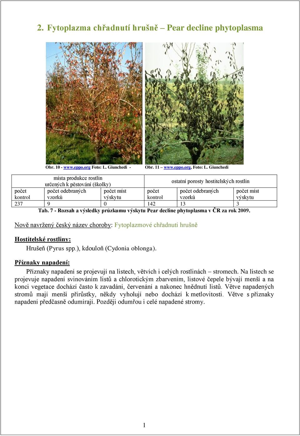 7 - Rozsah a výsledky průzkumu Pear decline phytoplasma v ČR za rok 2009. Nově navrţený český název choroby: Fytoplazmové chřadnutí hrušně Hrušeň (Pyrus spp.), kdouloň (Cydonia oblonga).