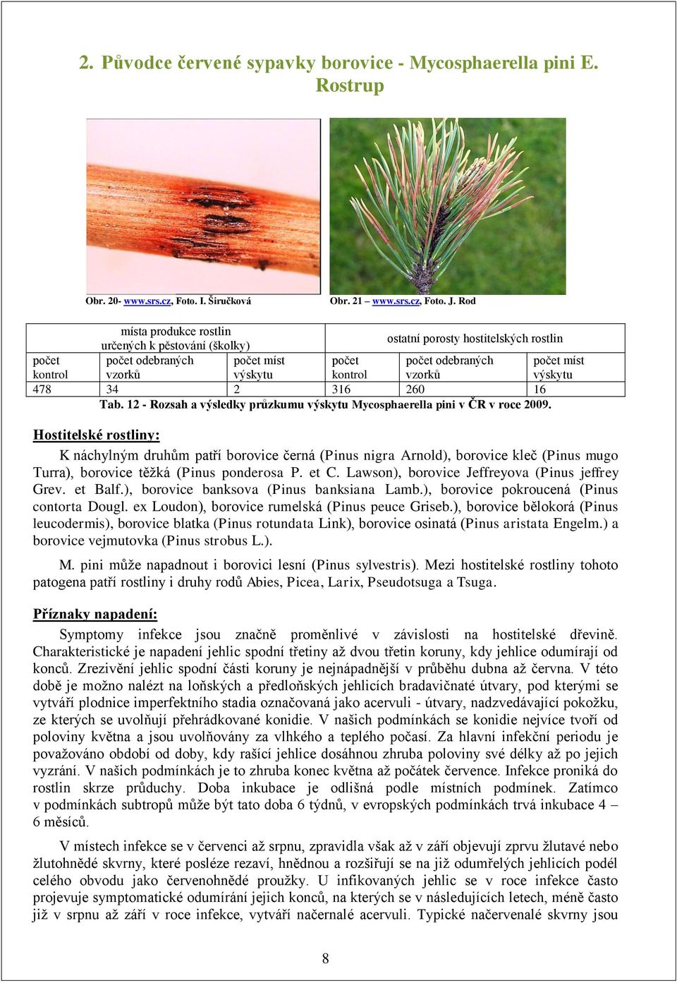 12 - Rozsah a výsledky průzkumu Mycosphaerella pini v ČR v roce 2009. K náchylným druhům patří borovice černá (Pinus nigra Arnold), borovice kleč (Pinus mugo Turra), borovice těţká (Pinus ponderosa P.