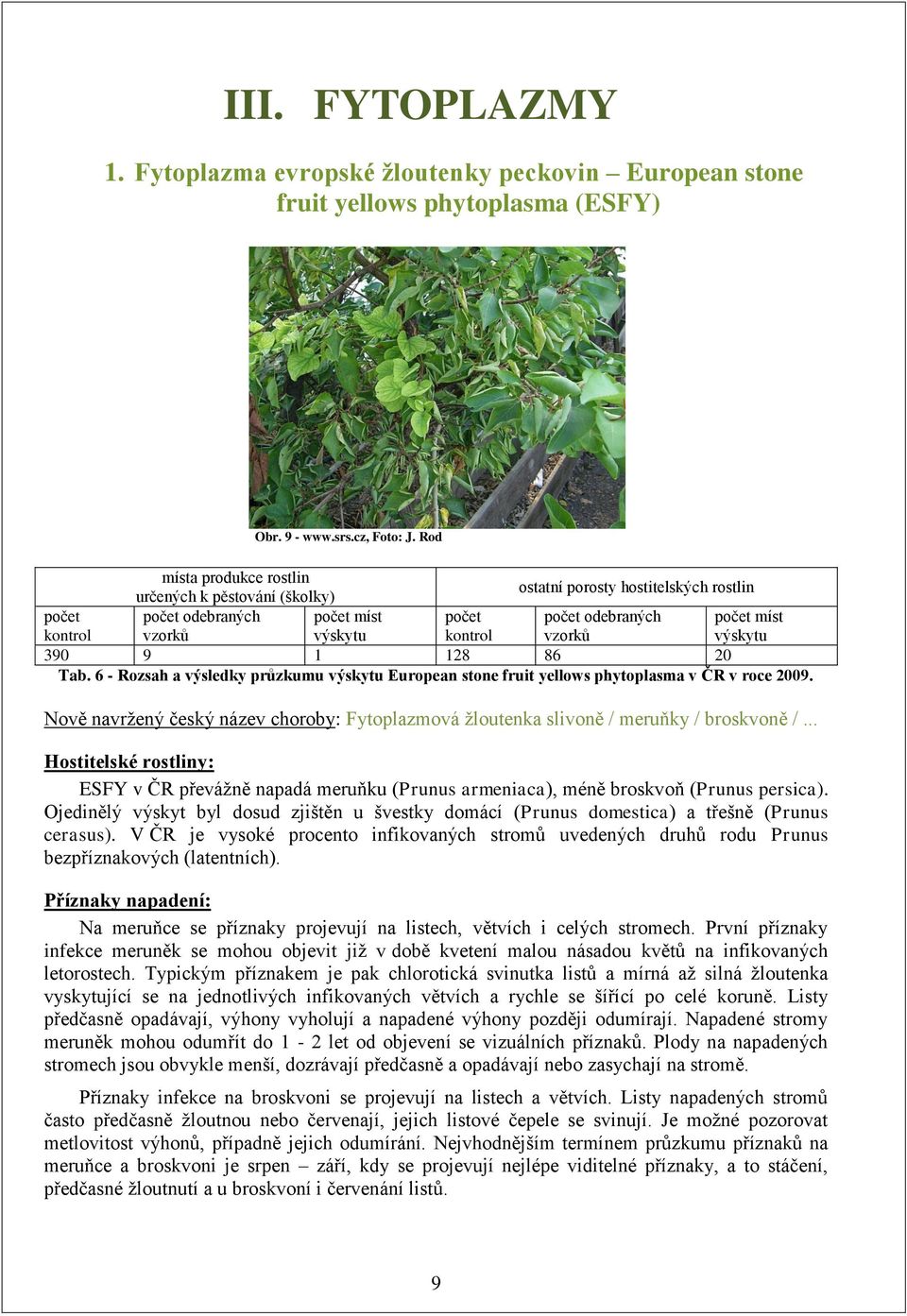 6 - Rozsah a výsledky průzkumu European stone fruit yellows phytoplasma v ČR v roce 2009. Nově navrţený český název choroby: Fytoplazmová ţloutenka slivoně / meruňky / broskvoně /.