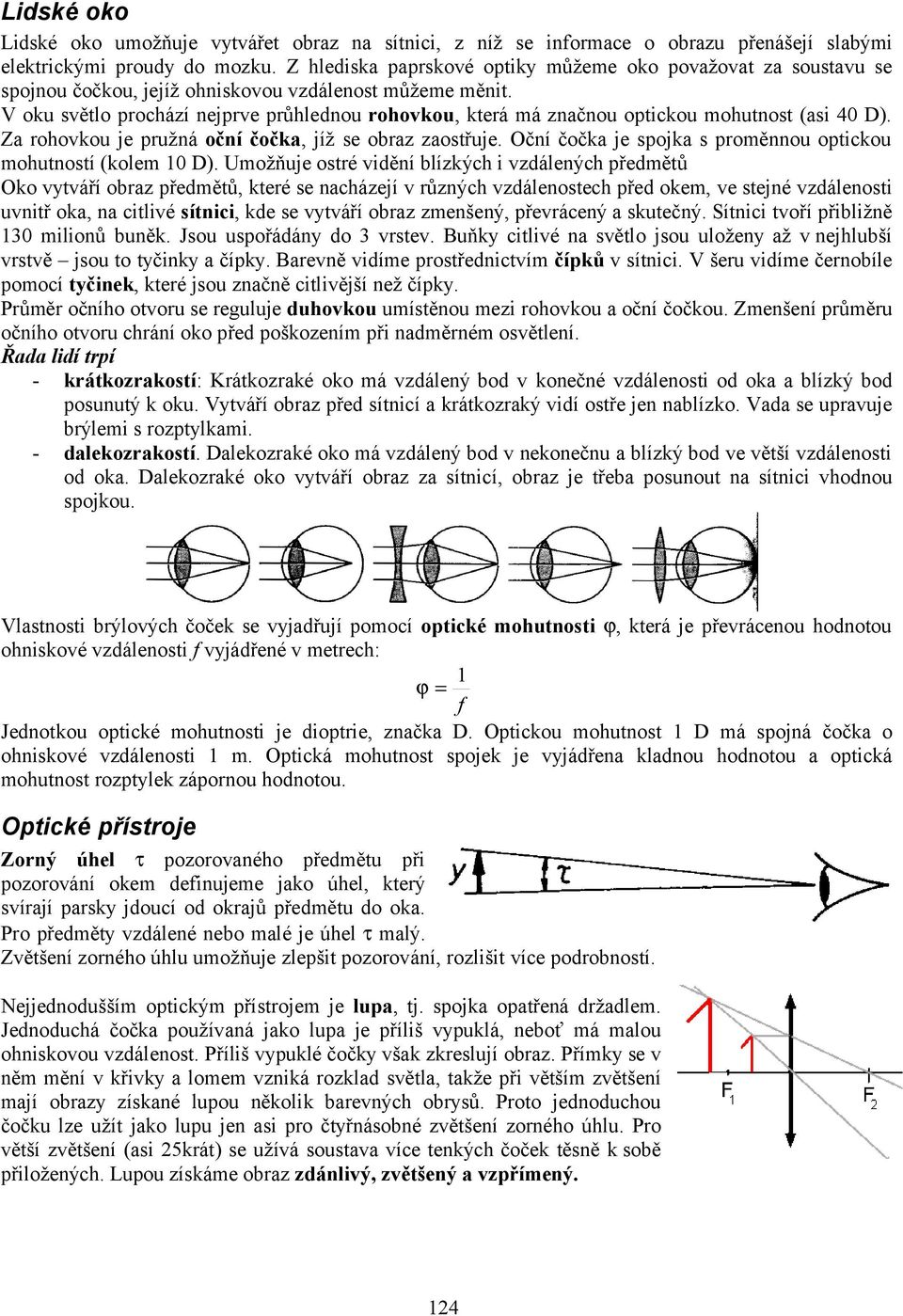 V oku světlo prochází nejprve průhlednou rohovkou, která má značnou optickou mohutnost (asi 40 D). Za rohovkou je pružná oční čočka, jíž se obraz zaostřuje.