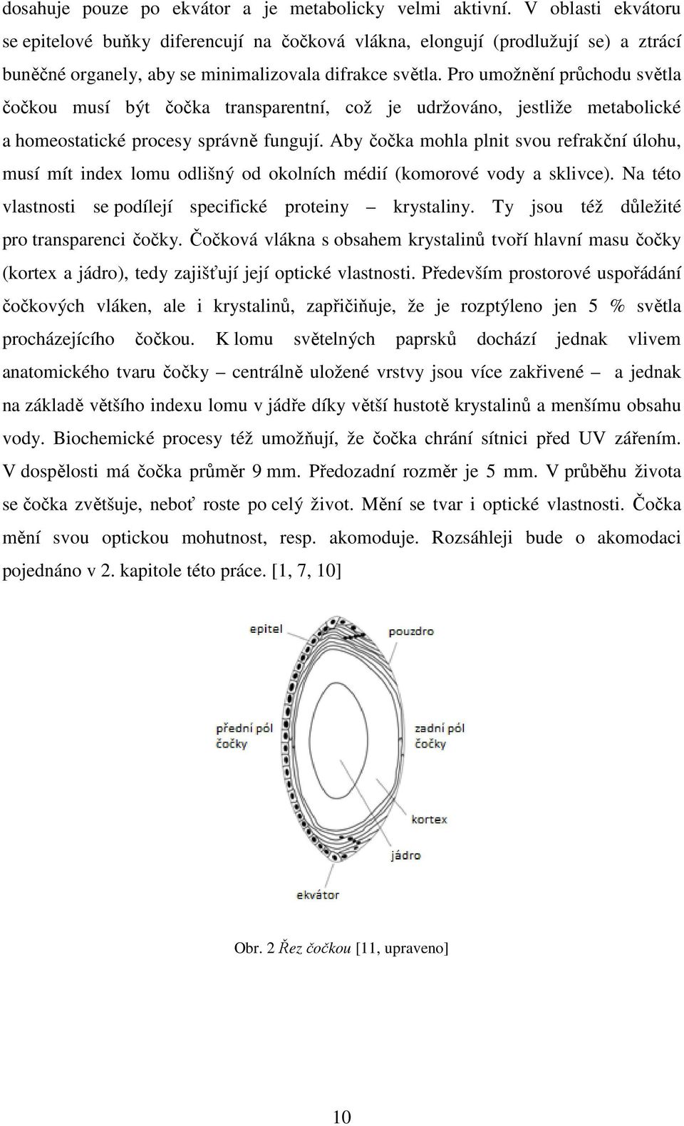 Pro umožnění průchodu světla čočkou musí být čočka transparentní, což je udržováno, jestliže metabolické a homeostatické procesy správně fungují.