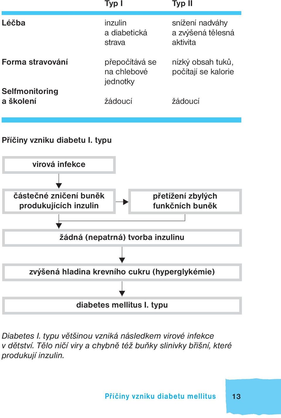 typu virová infekce částečné zničení buněk produkujících inzulin přetížení zbylých funkčních buněk žádná (nepatrná) tvorba inzulinu zvýšená hladina krevního
