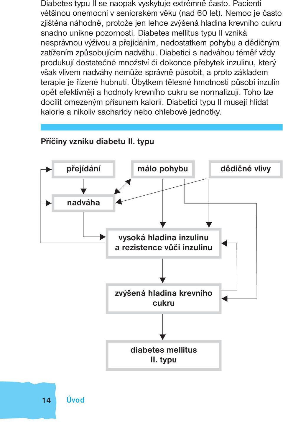 Diabetes mellitus typu II vzniká nesprávnou výživou a přejídáním, nedostatkem pohybu a dědičným zatížením způsobujícím nadváhu.