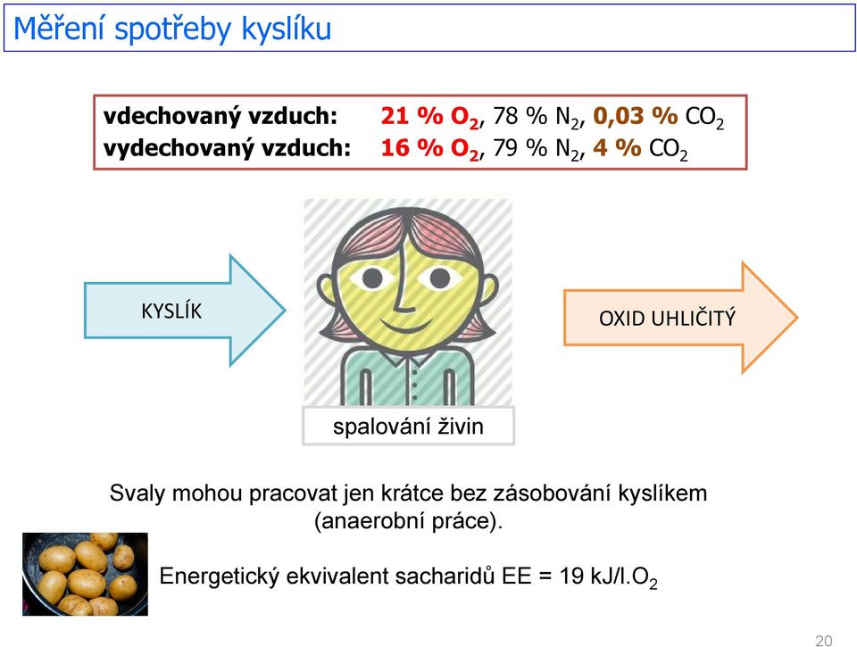 UHLIČITÝ spalování živin Svaly mohou pracovat jen krátce bez zásobování