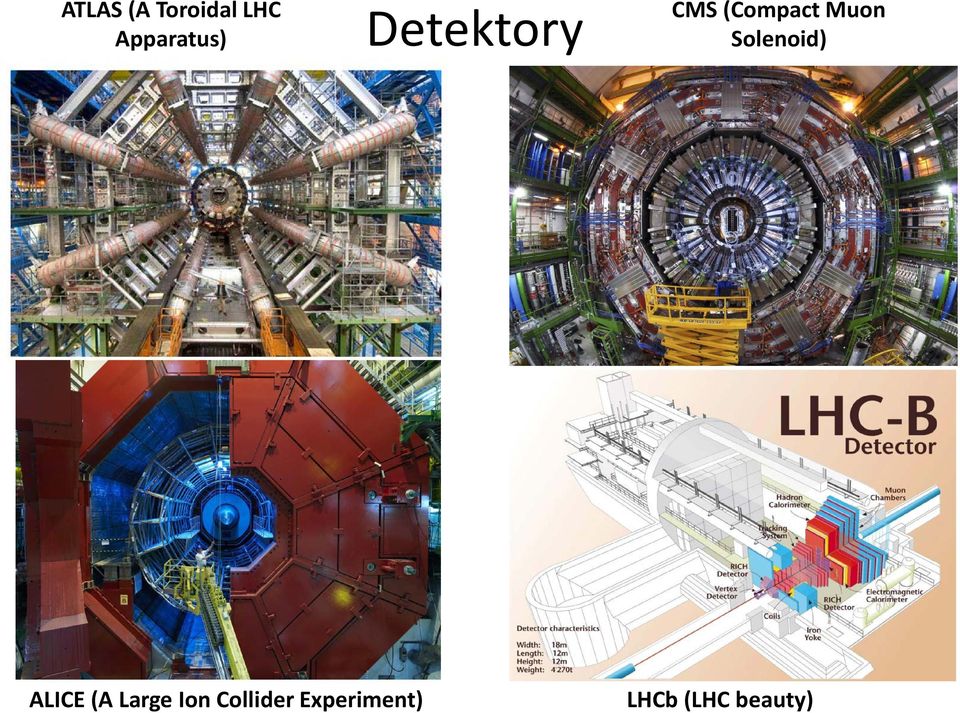 (Compact Muon Solenoid) ALICE