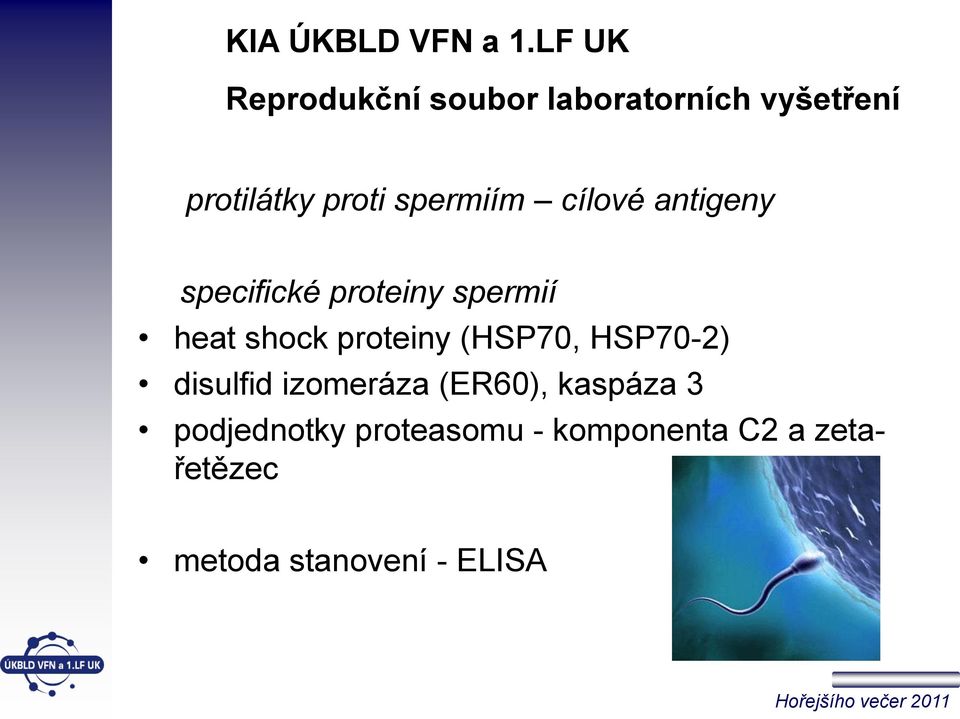 spermiím cílové antigeny specifické proteiny spermií heat shock
