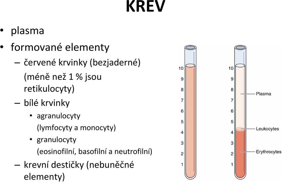 (lymfocyty a monocyty) granulocyty KREV (eosinofilní,