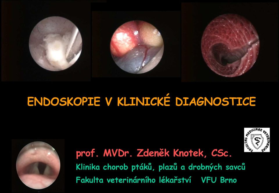 Klinika chorob ptáků, plazů a