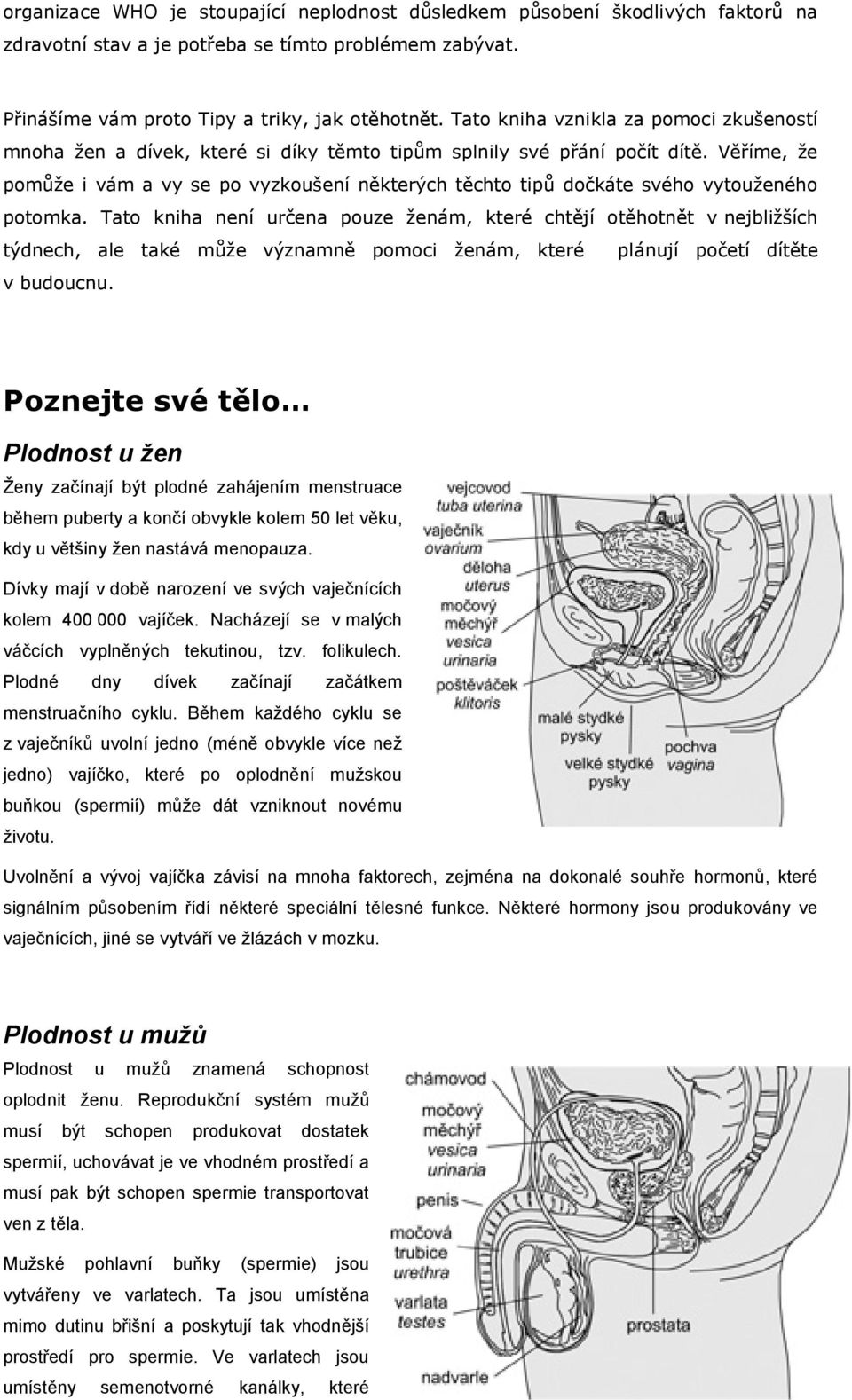 Věříme, že pomůže i vám a vy se po vyzkoušení některých těchto tipů dočkáte svého vytouženého potomka.