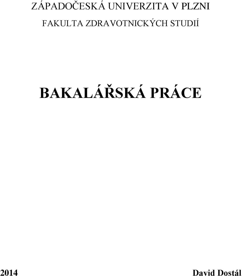 BAKALÁŘSKÁ PRÁCE 2014 David Dostál - PDF Stažení zdarma
