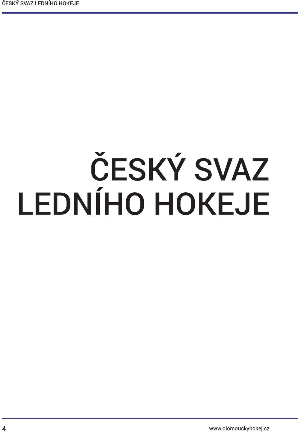 hokeje ČESKÝ