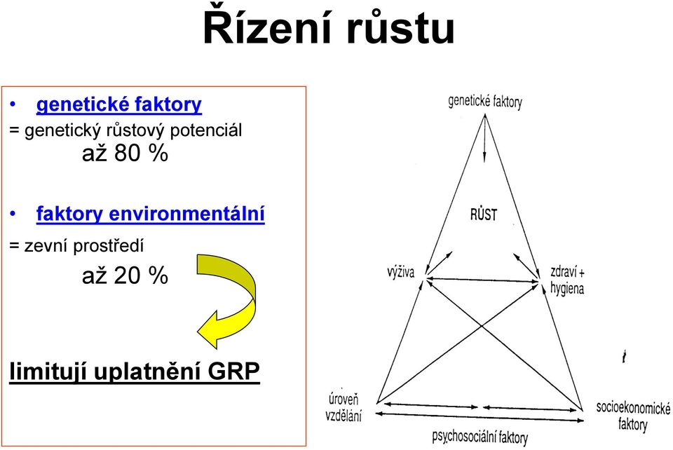 faktory environmentální = zevní