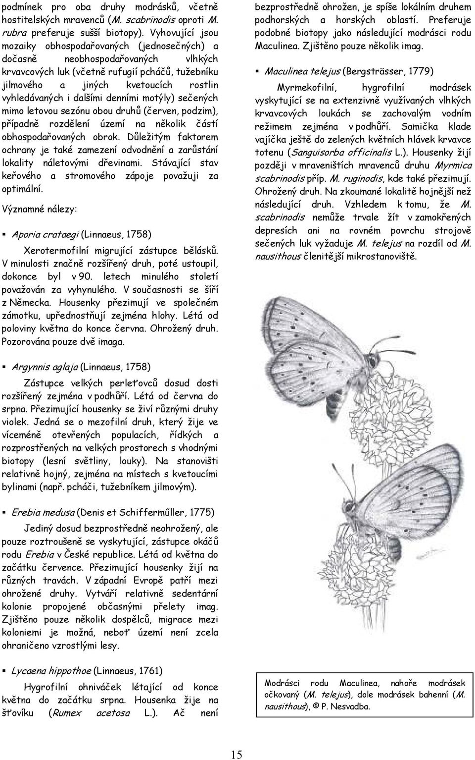 dalšími denními motýly) sečených mimo letovou sezónu obou druhů (červen, podzim), případně rozdělení území na několik částí obhospodařovaných obrok.