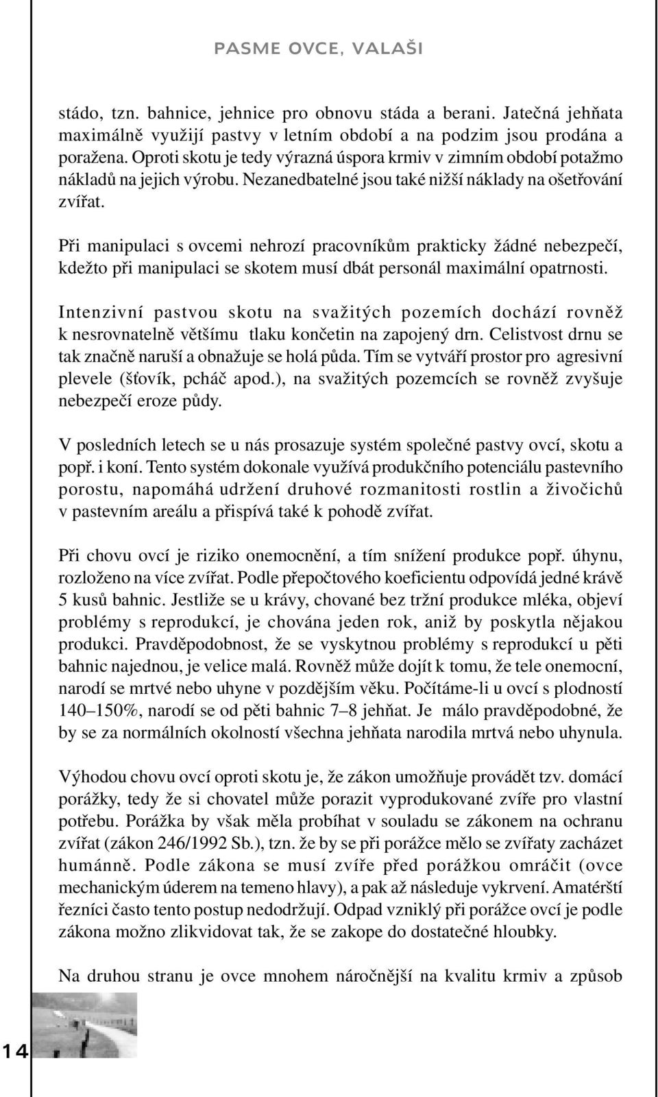 Při manipulaci s ovcemi nehrozí pracovníkům prakticky žádné nebezpečí, kdežto při manipulaci se skotem musí dbát personál maximální opatrnosti.