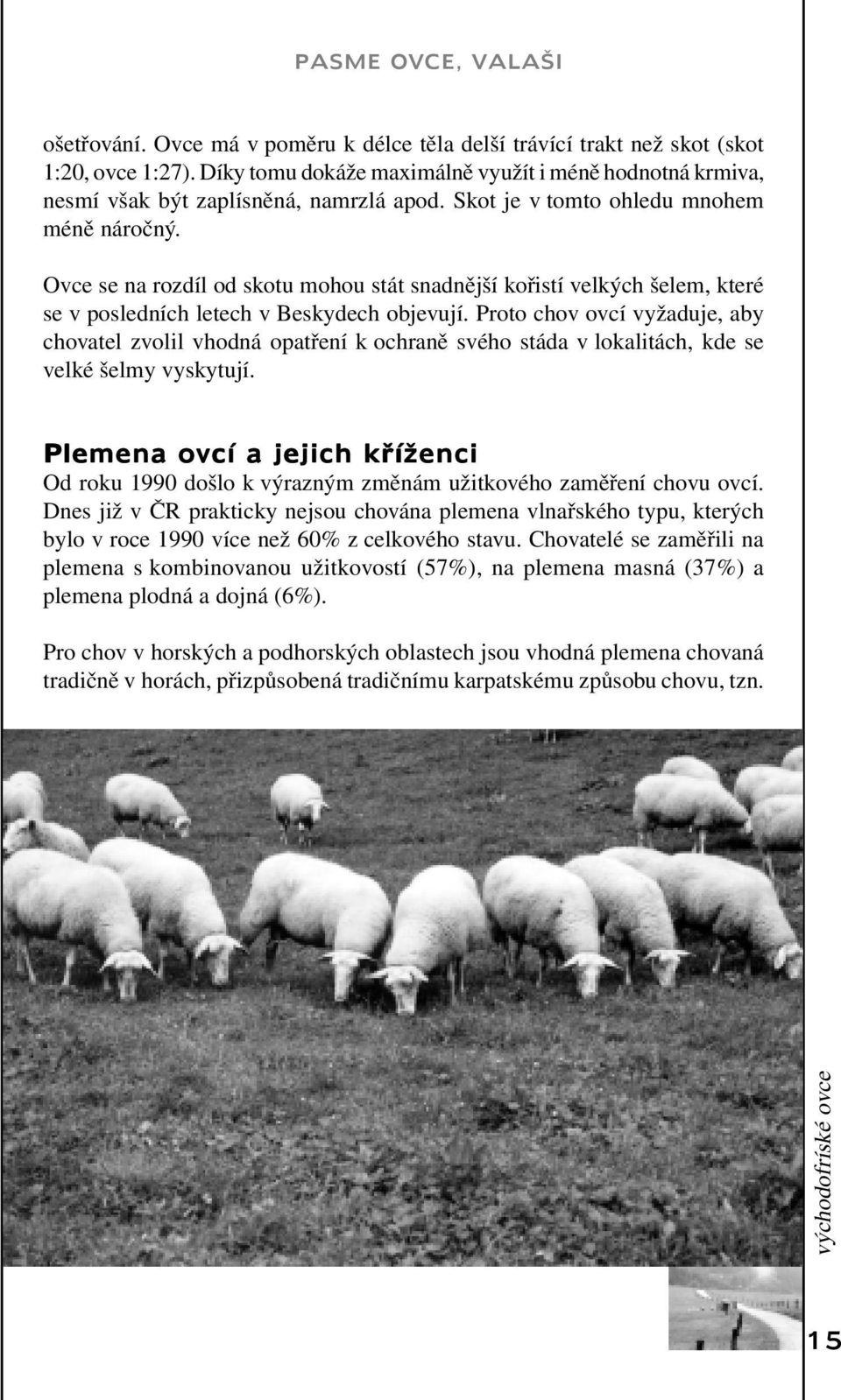 Proto chov ovcí vyžaduje, aby chovatel zvolil vhodná opatření k ochraně svého stáda v lokalitách, kde se velké šelmy vyskytují.