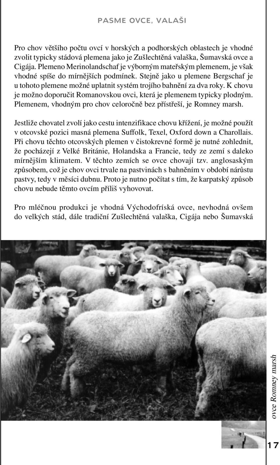 Stejně jako u plemene Bergschaf je u tohoto plemene možné uplatnit systém trojího bahnění za dva roky. K chovu je možno doporučit Romanovskou ovci, která je plemenem typicky plodným.