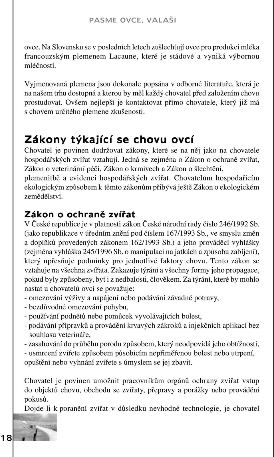 Ovšem nejlepší je kontaktovat přímo chovatele, který již má s chovem určitého plemene zkušenosti.