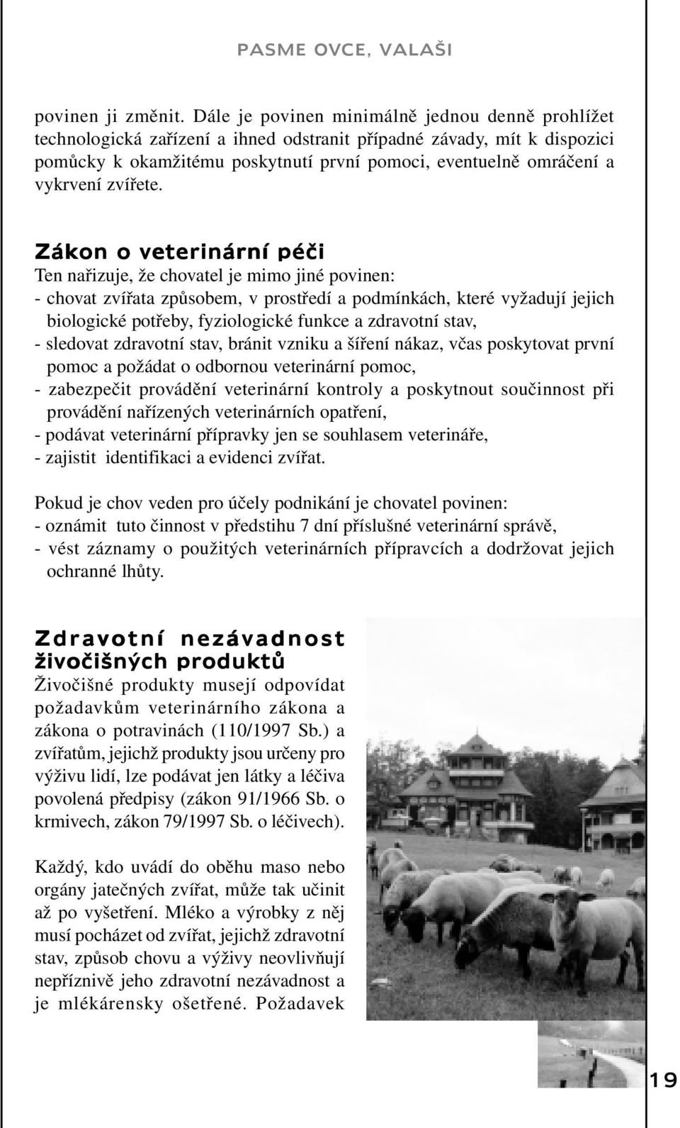 zvířete.