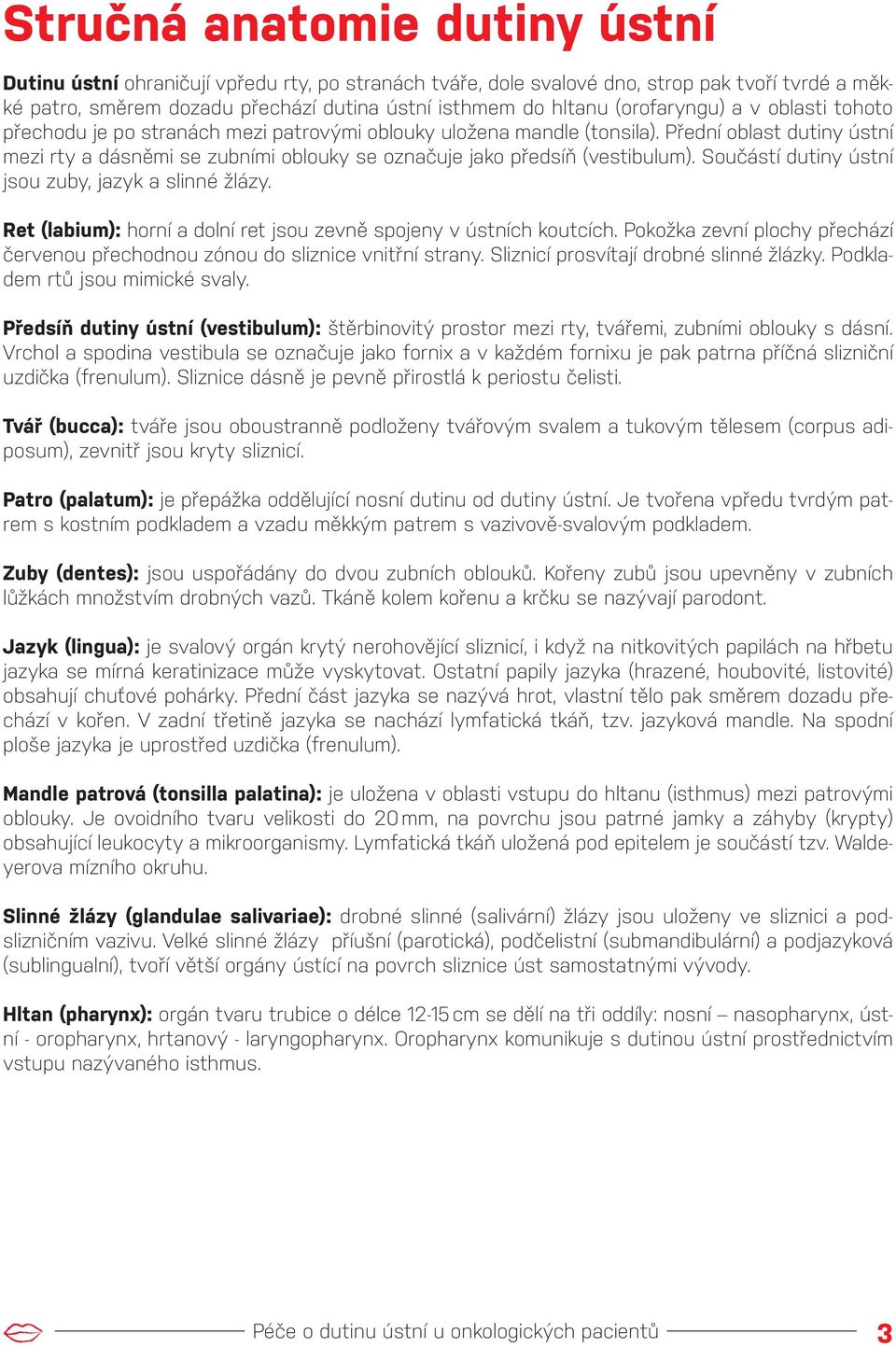Přední oblast dutiny ústní mezi rty a dásněmi se zubními oblouky se označuje jako předsíň (vestibulum). Součástí dutiny ústní jsou zuby, jazyk a slinné žlázy.