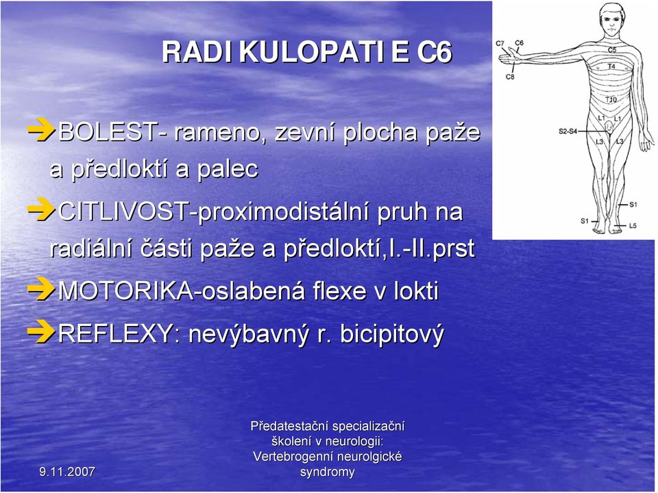 radiáln lní části paže e a předloktp edloktí,i.,i.-ii.prstii.