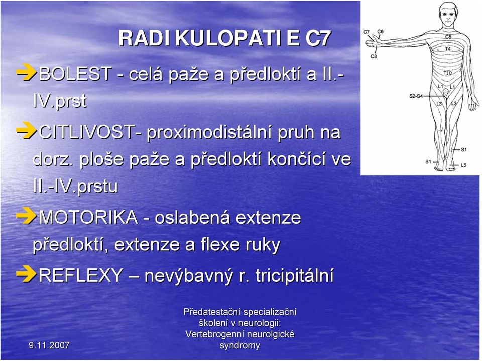 . ploše e paže e a předloktp edloktí končící ve II.-IV.prstu IV.