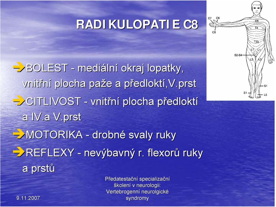 prst CITLIVOST - vnitřní plocha předloktp edloktí a IV.a V.
