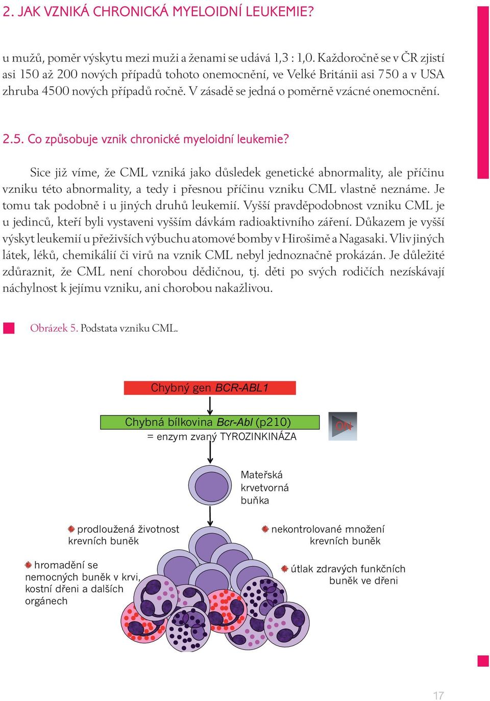 Sice již víme, že CML vzniká jako důsledek genetické abnormality, ale příčinu vzniku této abnormality, a tedy i přesnou příčinu vzniku CML vlastně neznáme.