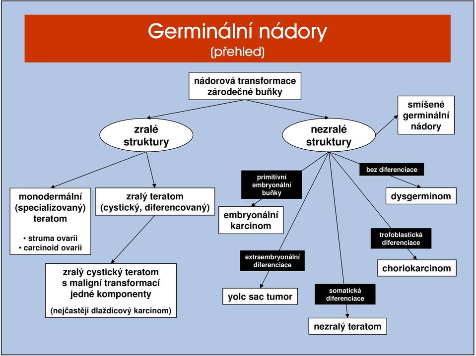 maligní transformací jedné komponenty (nejčastěji dlaždicový karcinom) primitivní embryonální buňky embryonální karcinom