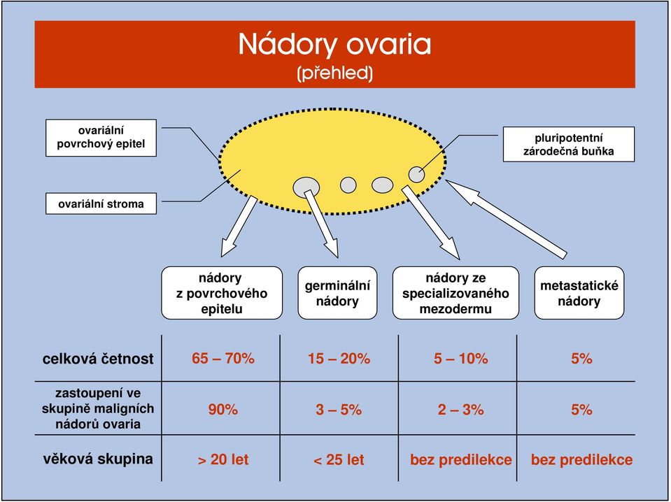 metastatické nádory celková četnost 65 70% 15 20% 5 10% 5% zastoupení ve skupině maligních