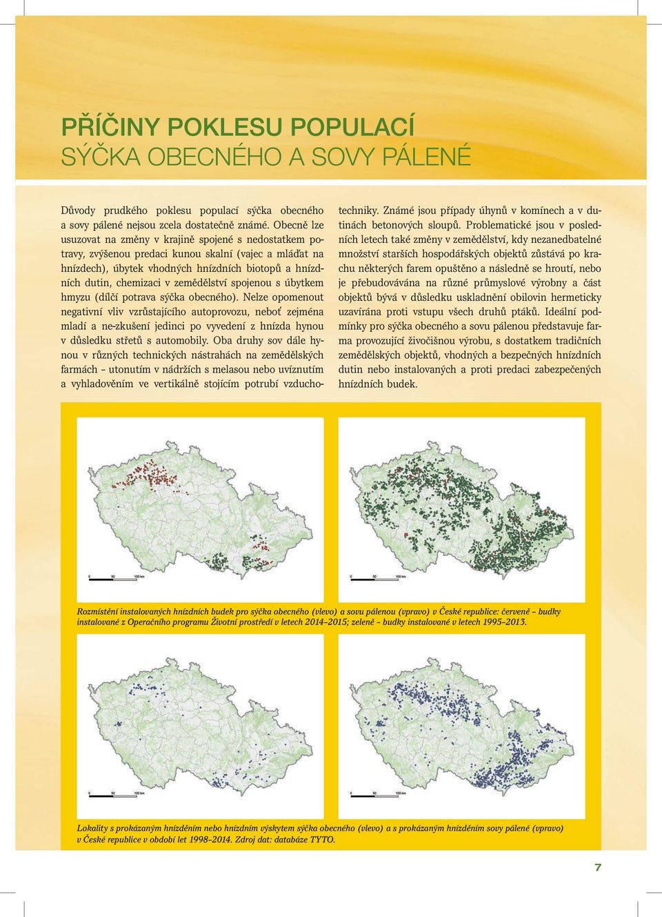 zemědělství spojenou s úbytkem hmyzu (dílčí potrava sýčka obecného).