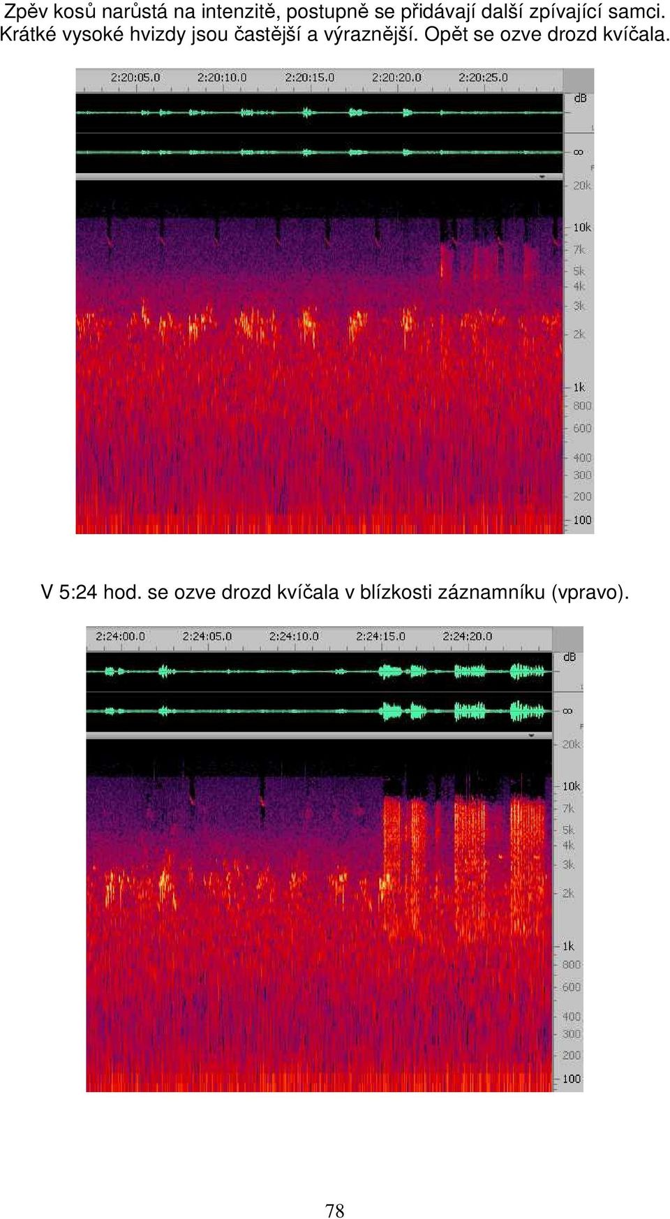 Krátké vysoké hvizdy jsou častější a výraznější.