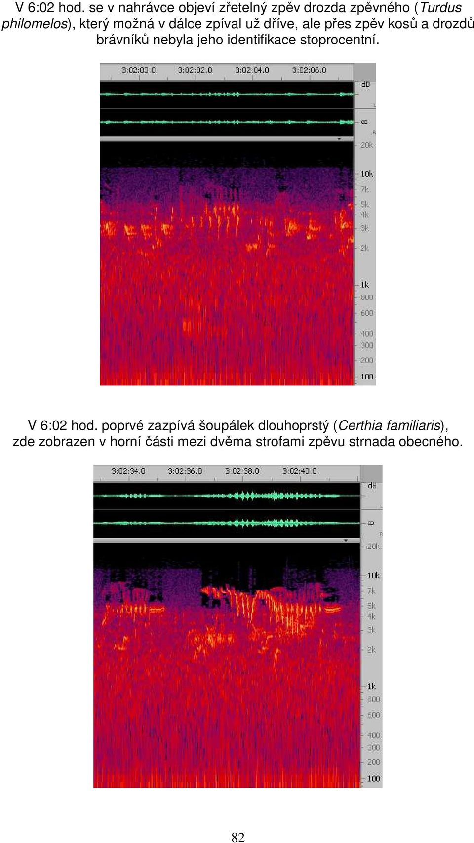 v dálce zpíval už dříve, ale přes zpěv kosů a drozdů brávníků nebyla jeho
