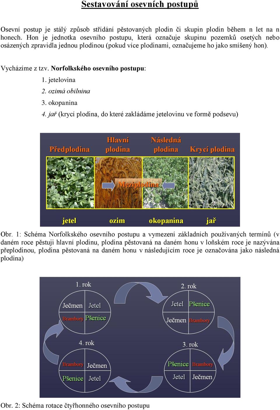 Norfolkského osevního postupu: 1. jetelovina 2. ozimá obilnina 3. okopanina 4. jař (krycí plodina, do které zakládáme jetelovinu ve formě podsevu) Obr.