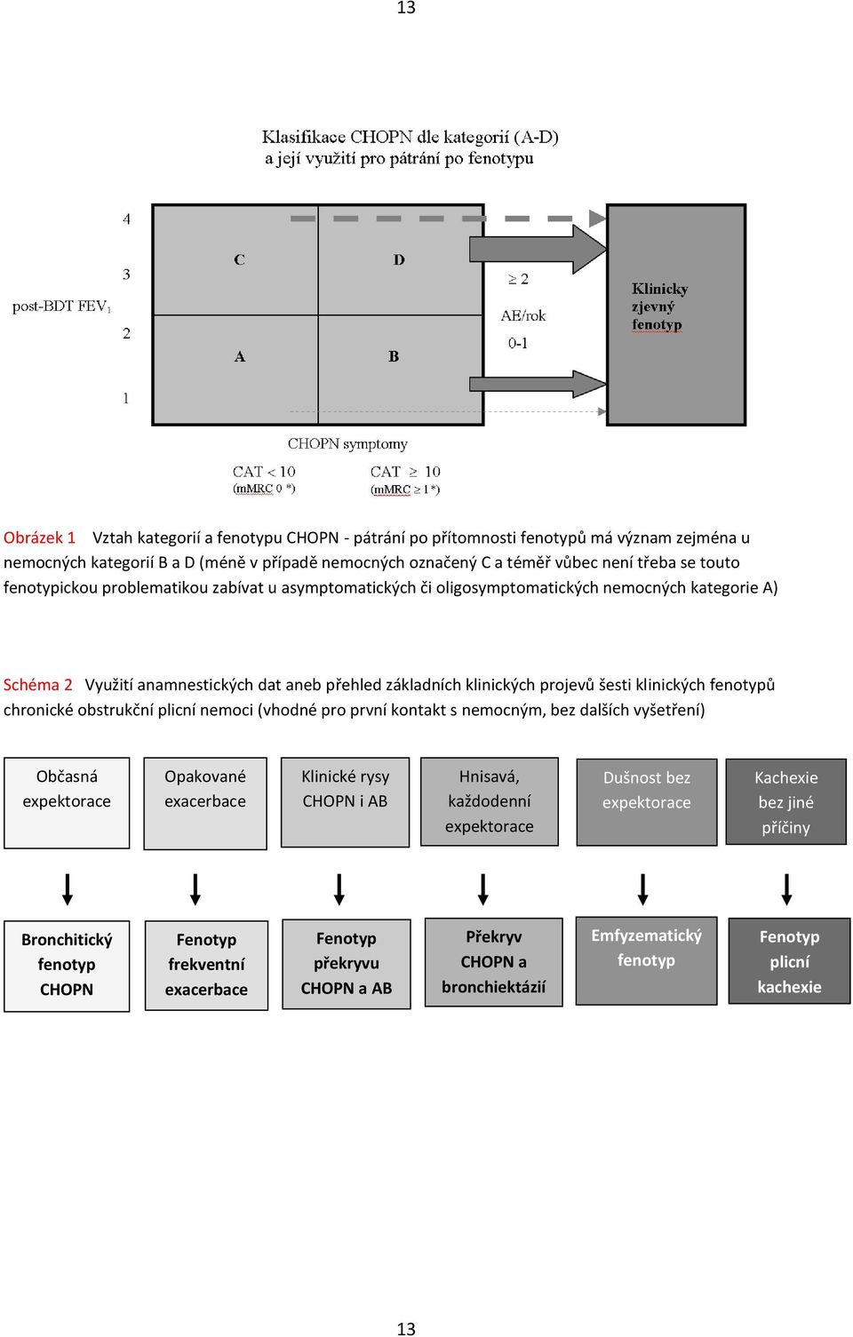 fenotypů chronické obstrukční plicní nemoci (vhodné pro první kontakt s nemocným, bez dalších vyšetření) Občasná expektorace Opakované exacerbace Klinické rysy CHOPN i AB Hnisavá, každodenní