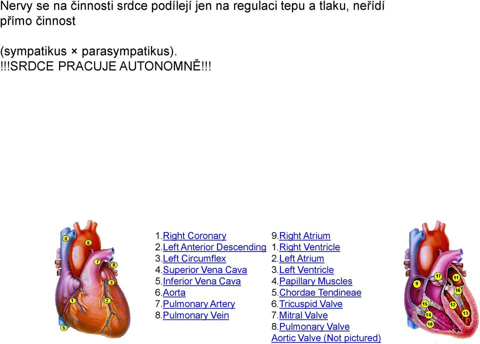 Inferior Vena Cava 6.Aorta 7.Pulmonary Artery 8.Pulmonary Vein 9.Right Atrium 1.Right Ventricle 2.Left Atrium 3.