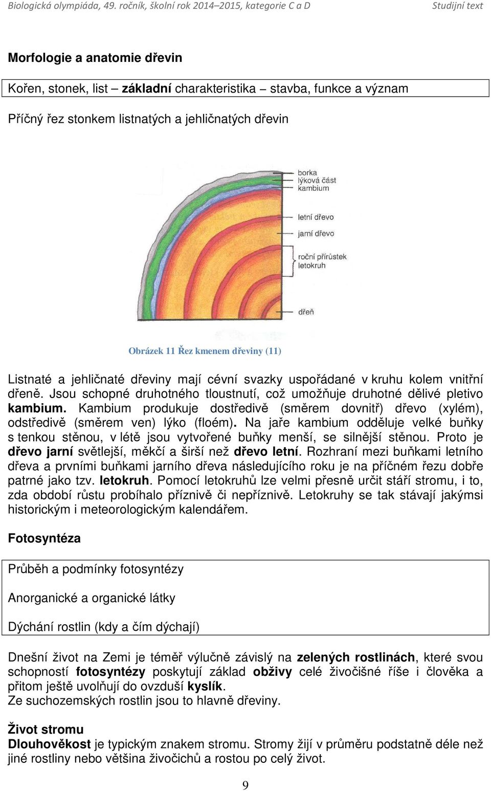 Kambium produkuje dostředivě (směrem dovnitř) dřevo (xylém), odstředivě (směrem ven) lýko (floém).