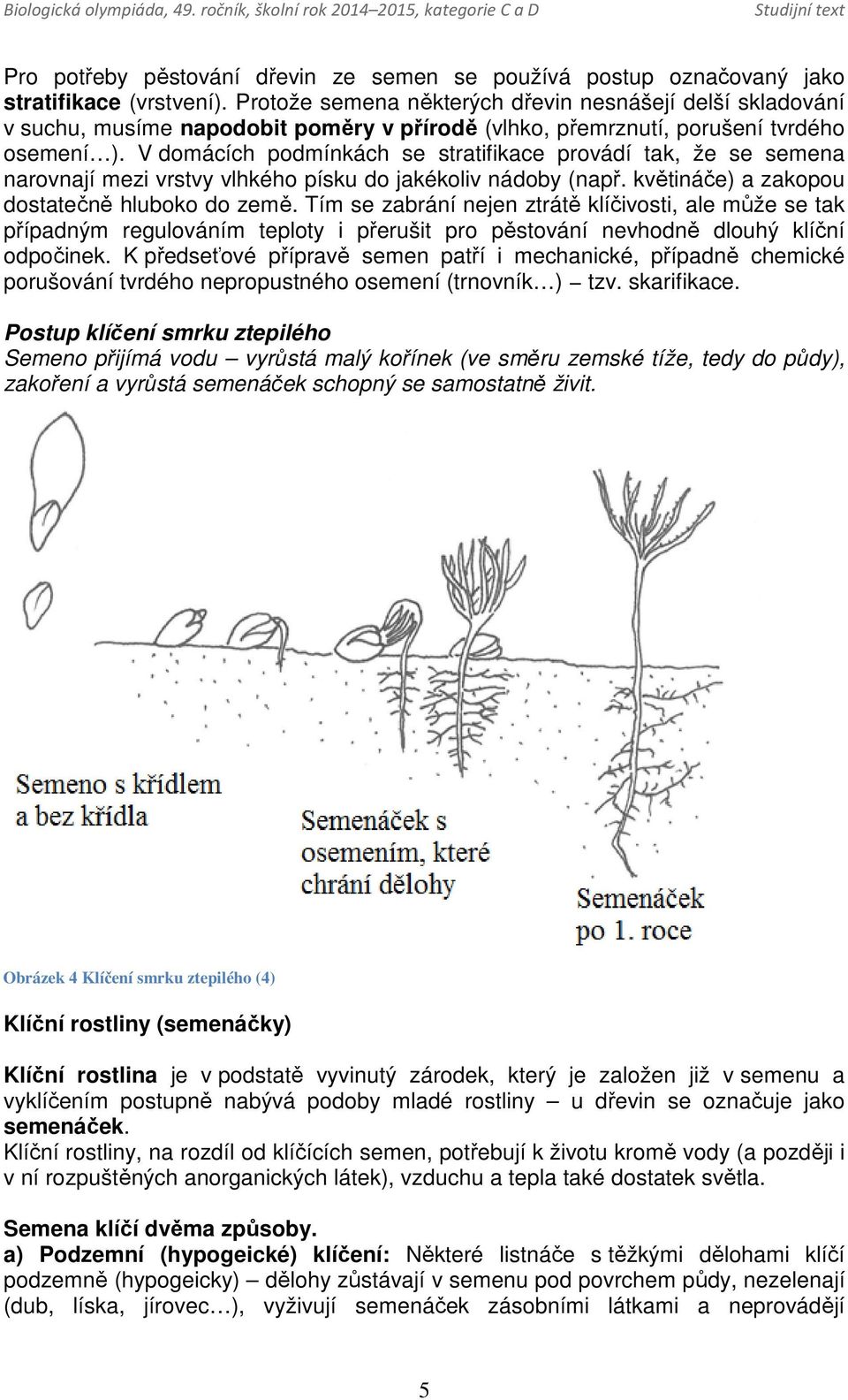 V domácích podmínkách se stratifikace provádí tak, že se semena narovnají mezi vrstvy vlhkého písku do jakékoliv nádoby (např. květináče) a zakopou dostatečně hluboko do země.