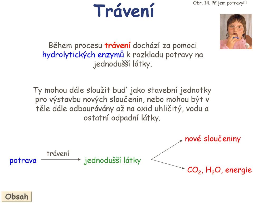 potravy na jednodušší látky.