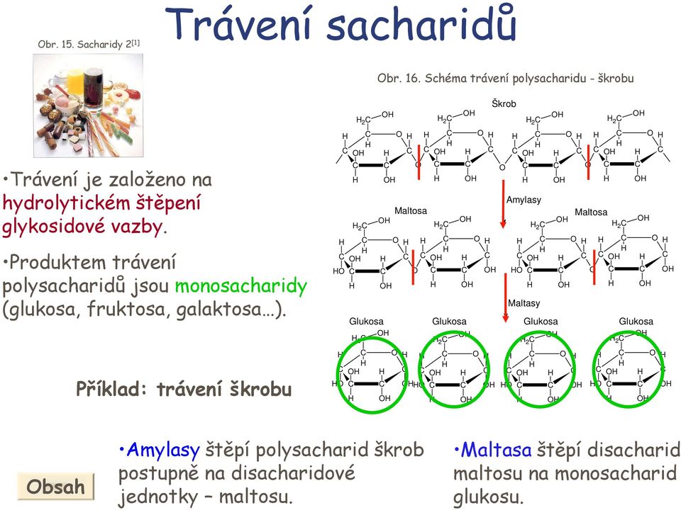 Produktem trávení polysacharidů jsou monosacharidy (glukosa, fruktosa, galaktosa ).