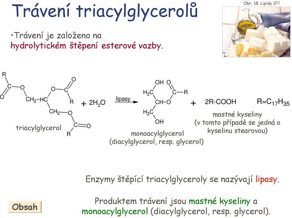 glycerol) mastné kyseliny (v tomto případě se jedná o kyselinu stearovou) Enzymy štěpící triacylglyceroly