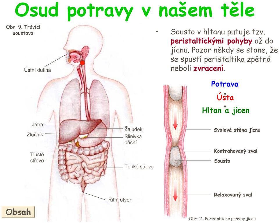 Pozor někdy se stane, že se spustí peristaltika zpětná neboli zvracení.