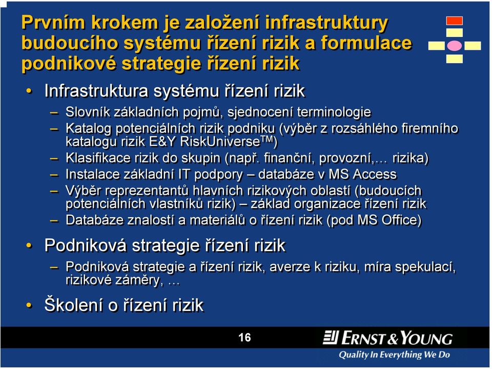 finanční, provozní, rizika) Instalace základní IT podpory databáze v MS Access Výběr reprezentantů hlavních rizikových oblastí (budoucích potenciálních vlastníků rizik) základ organizace