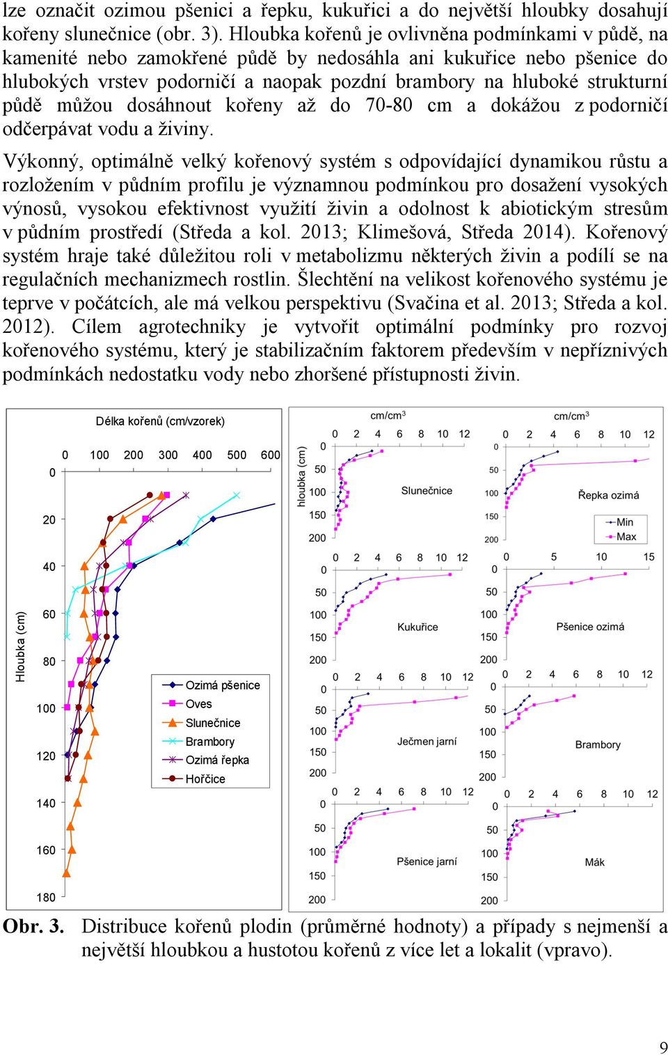 můžou dosáhnout kořeny až do 70-80 cm a dokážou z podorničí odčerpávat vodu a živiny.