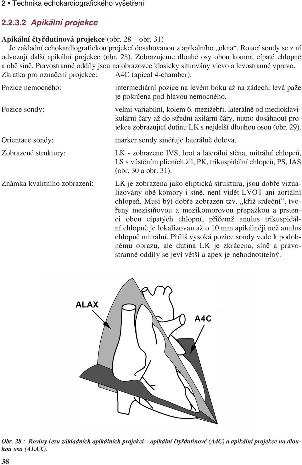 Pravostranné oddíly jsou na obrazovce klasicky situovány vlevo a levostranné vpravo. Zkratka pro označení projekce: A4C (apical 4-chamber).