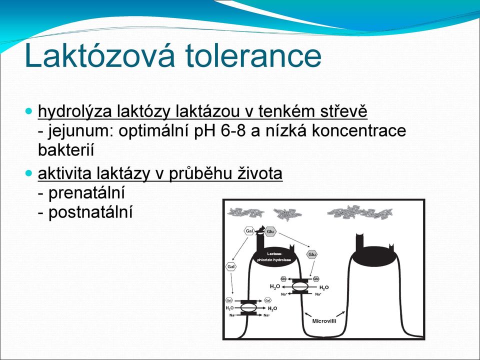 optimální ph 6-8 a nízká koncentrace