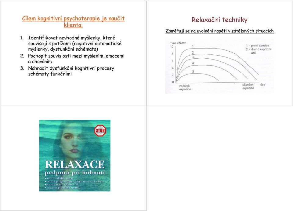 myšlenky, dysfunkční schémata) 2.