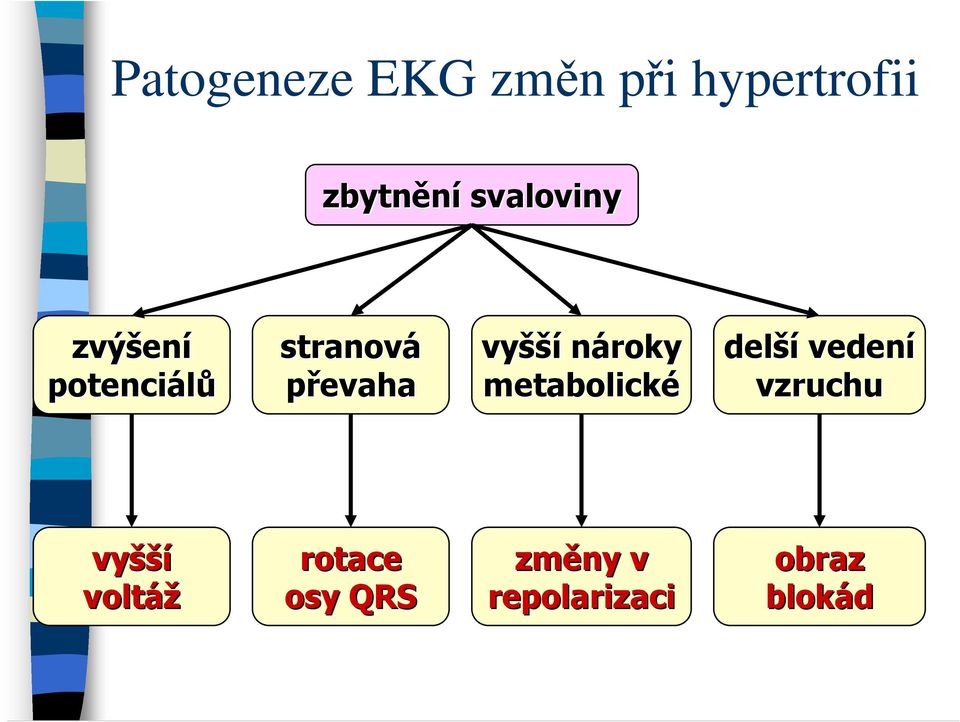 vyšší nároky metabolické delší vedení vzruchu