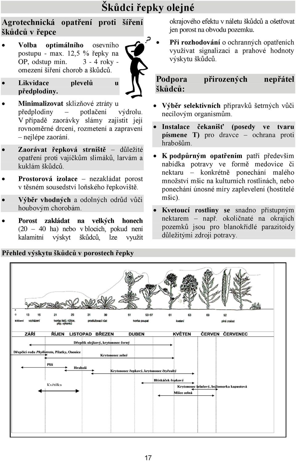Zaorávat řepková strniště důležité opatření proti vajíčkům slimáků, larvám a kuklám škůdců. Prostorová izolace nezakládat porost v těsném sousedství loňského řepkoviště.